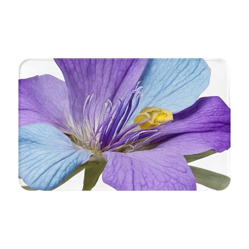 Northern Lights Painting Print Living Room Bathroom Kitchen Anti Slip and Absorbent Carpet, Indoor Entrance Door Muddy Floor Mat, Ultra Soft Washable Carpet 21x31.5 Inches