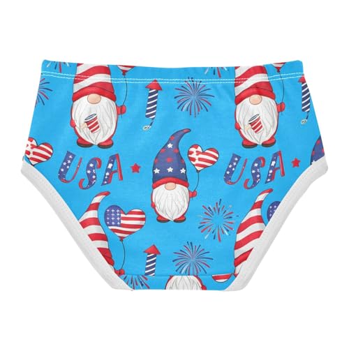 Cute Gnomes Blue American Toddler Underwear Custom 2t Cotton Cute Panties Girl Aesthetic Kids Briefs Undies2