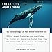 Freshfield Omega 3, DHA Supplements, Potent 1 per Day Formula, Algae (Algal) Oil, Vegan Omega, Ocean Saving Fish Oil Alt, Sustainable, Concentrated DHA per Capsule, w/DPA