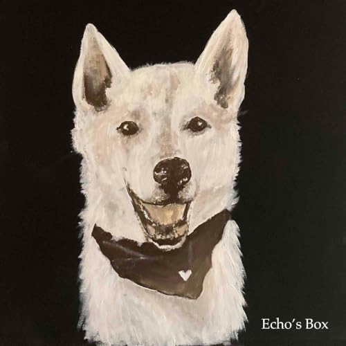 Couverture de Echo&rsquo;s Box