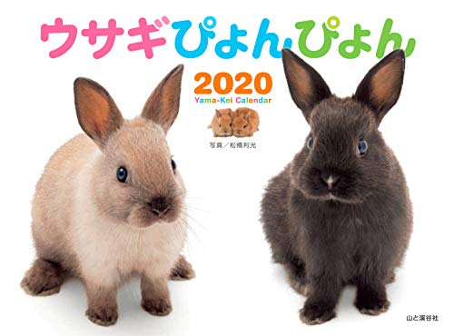 無料電子書籍 アプリ カレンダー2020 ウサギぴょんぴょん (ヤマケイカレンダー2020) バイ