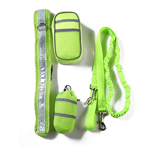 Harnais pour chien avec laisse élastique et collier assorti pour animaux