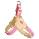 Y-shaped anti-pull dog harness designed specifically for Cavalier King Charles Spaniel. It features an adjustable, softly padded chest vest with reflective strips, breathable design pink XL