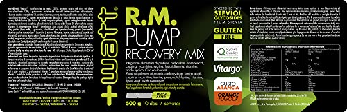 RM Pump - Miscela di Nutrienti Indicata per il Recupero Muscolare ed Energetico - Formato 500 g - Gusto: Arancia - 2