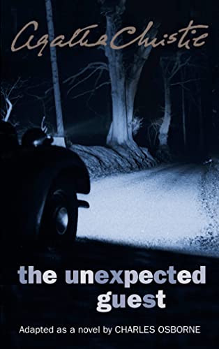 The Unexpected Guest view 2