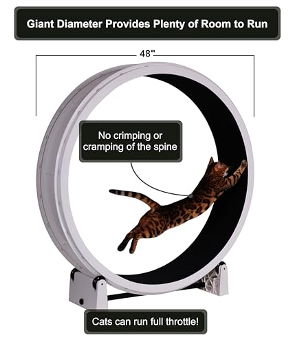 Image of One Fast Cat - Cat Exercise Wheel - Gen. 7 - Safe 48 inch Diameter - Made in The USA - White Wheel with Black Felt Traction Pads and Solid Black Inline Wheels