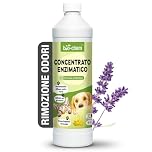 Bio-Chem - Detergente enzimatico concentrato 1L - Combatte gli odori ostinati e le macchie - Azione probiotica naturale per tappeti, tessuti e superfici