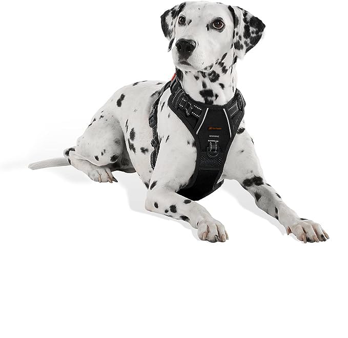 The Pets Popular Double Sided Pro Reflective and Ajustable Comfortable Harness with Rope for Dogs (Small, Black) (B0CTJ52YSN) Amazon Price History, Amazon Price Tracker