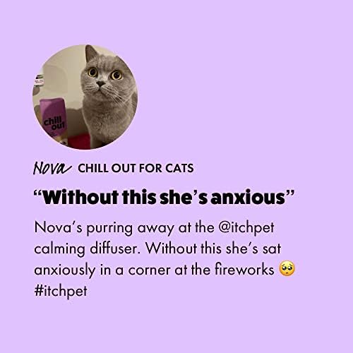 Itch | Chill Out Starter Kit | Calming Pheromones Plug in Diffuser and 30-Day Refill | Anxiety and Stress Relief for Cats