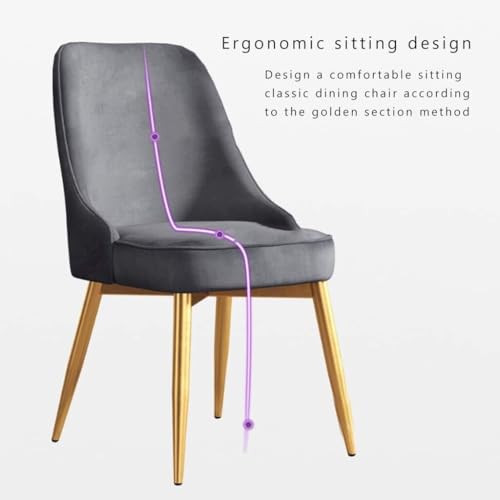 Chaise en velours avec dossier chic pour coiffeuse et salon élégant