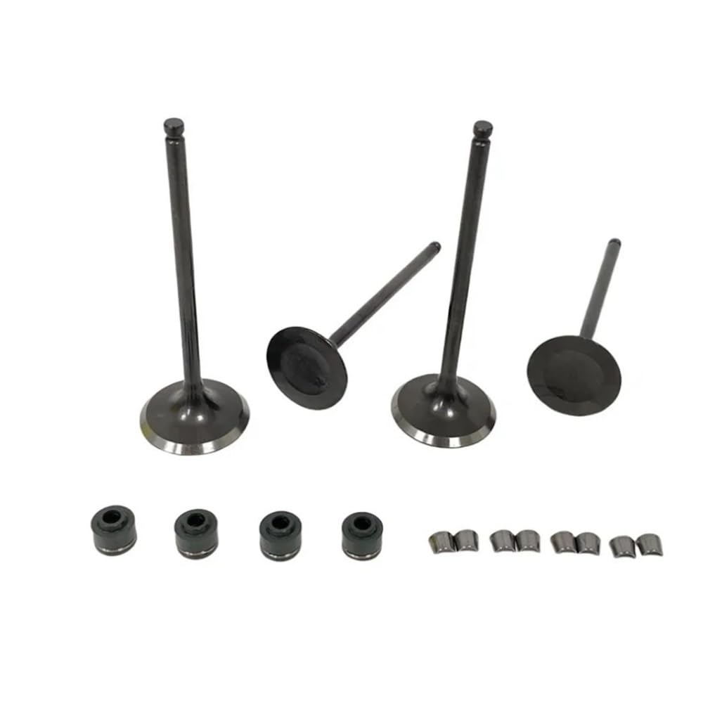 Kit paraolio adatto for BJ250-15A BJ250 TNT250 | TNT25TNT25 250