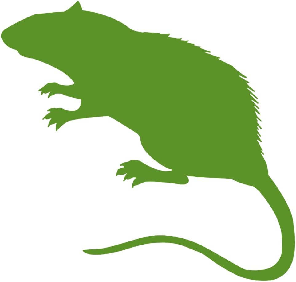 Swell Reptiles 5 Pack of 130g Frozen Rats Small to Medium Adults. Outstanding Snake Food