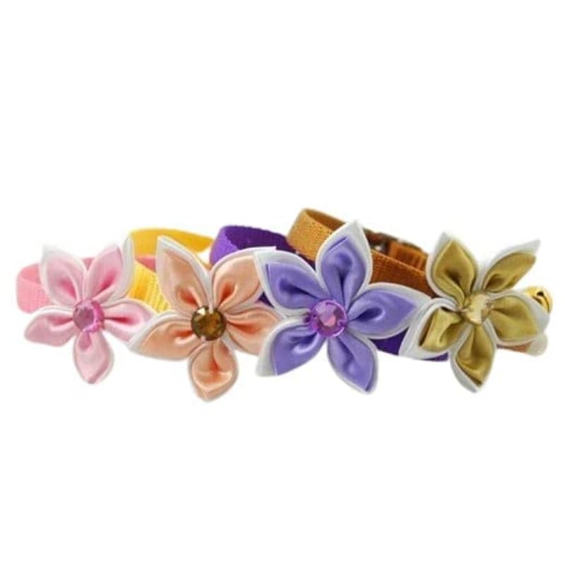 Dog Trust Pack of 2 pcs Collar Flower Collar for Your Kitten Pupies Dog Size 10 MM Random Color (B0CW3GPC9H) Amazon Price History, Amazon Price Tracker
