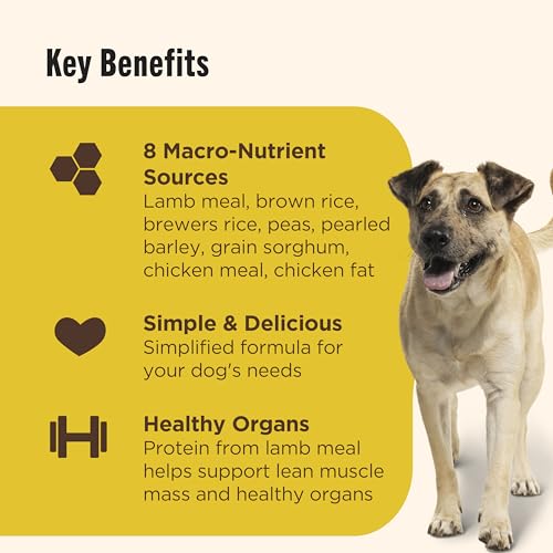 Nutrish Limited Ingredient Dry Dog Food, 14 lb. Bag, (Rachael Ray) | Made with Lamb Meal & Brown Rice, No Added Corn, Soy or Wheat, Omega-6 Fatty Acids Help Support Healthy Skin & Coat - image 4