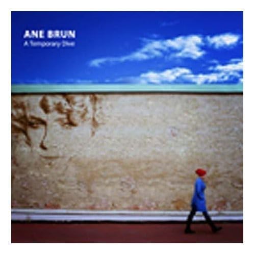 Temporary Dive [Audio CD] BRUN,ANE