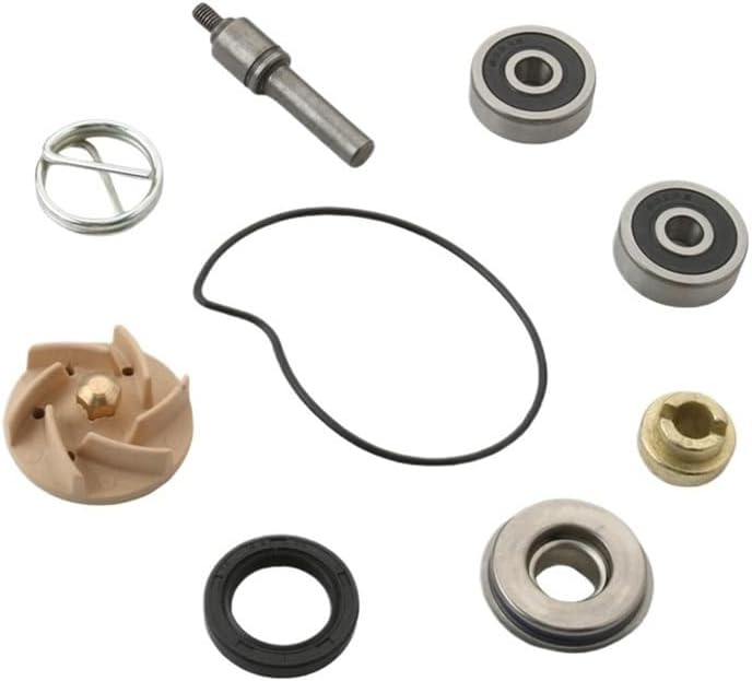 Water Pump Repair Kit for Gts250 Gtv250 Gts300 Gts Gtv 250cc Gts 300cc 100110210
