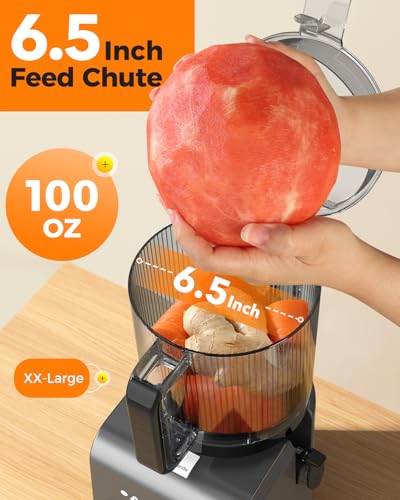Image of 3-in-1 Cold Press Juicer Machines, 6.5 inch Mega Chute for Whole Fruit, Slow Masticating Juicer with Sorbet & Nut Milk Maker, BPA Free, 100 OZ Hopper, Easy Clean, Oxide Gray