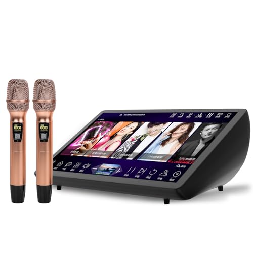 New Pihaosen Chinese Karaoke Machine 19.5 inch Machine LED Capacitive Touch Screen Professional...