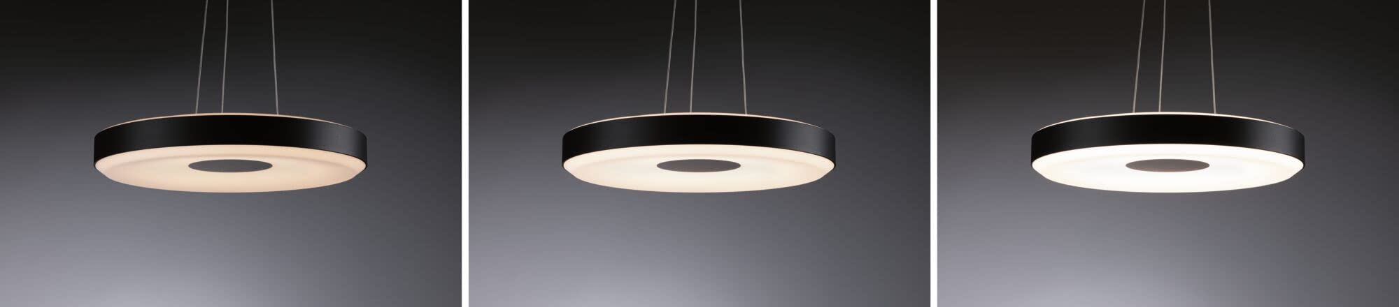 Paulmann 79779 LED Pendelleuchte Smart Home Zigbee Puric Pane 400mm 1.200lm / 700lm 11 / 7W höhenverstellbar dimmbar Schwarz, Grau Kunststoff, Metall 2700 K