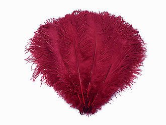 Diamante Crafts Ostrich Feathers - Extra Large 50cm - 60cm / 20" - 24" Pick Quantity / 23 Colours (10 x Ostrich Feather - XL, Burgundy)