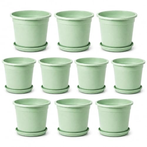 Image of 12 Inch Glossy Plastic Planter with Bottom Plate | Heavy Duty Flower Pot with Tray for Indoor Home Decor, Balcony, Living Room & Outdoor Garden (10 Pot, Mint Sparkle)