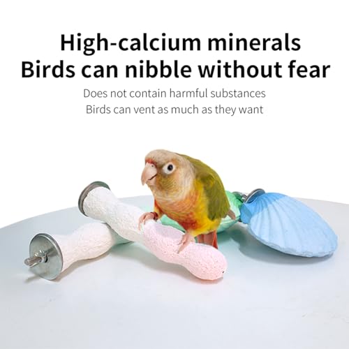 Image of Bird Perches for Cage, Abrasive Surface High Calcium Mineral Parrot Perch Stand - Bird Nail File for Claw & Beak Health, Colorful Ceramic Bird Cage Accessories (Purple, Shell)