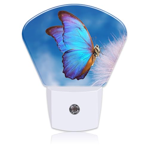 Image of Beautiful Blue Butterfly Night Light, Dandelion Nightlight Plug into Wall with Dusk to Dawn Sensor for Kid Girls Boys Women Men Bedroom, Hallway, Kitchen, Bathroom, Stairs Decor