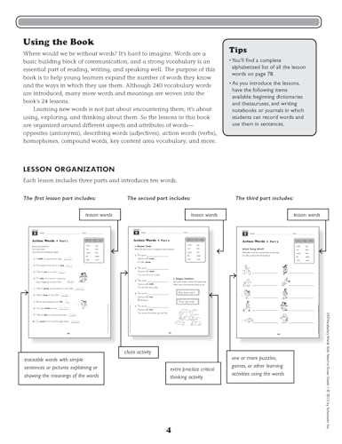 240 Vocabulary Words Kids Need to Know, Grade 1: 24 Ready-to-reproduce Packets That Make Vocabulary Building Fun & Effective - Image 3