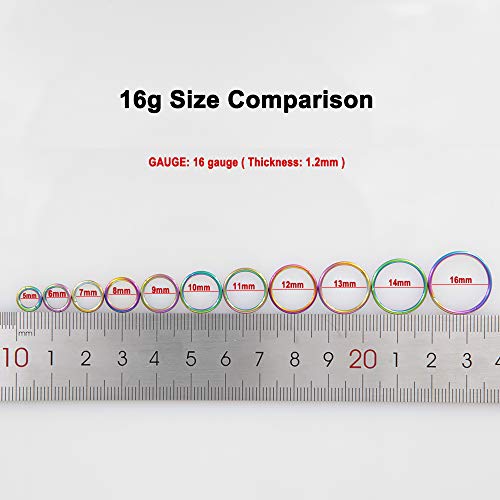 Image of FANSING Men Women 316L Surgical Steel Hinged Nose Rings Hoop for Nostril Septum Cartilage Helix Daith Tragus Rook Conch Lip Ear Lobe Piercings