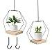 2 stuck Blumenampel Blumentopf Hängend Indoor/Outdoor - Metall Hängetopf mit Holzsockel,Pflanzenampel mit 80cm Verstellbare Baumwollschnur,Wetterfester Blumentopf für Zimmerpflanzen,Sukkulenten & Deko
