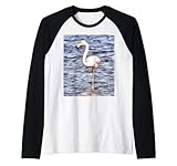 ¿Tienes cosquillas de color rosa con serenidad y vida contenta? Los flamencos representan un sentido de comunidad y confianza. Equilibra tu ¿Te gustan las aves tropicales y los pájaros que van más allá de la adherencia icónica? Comparte una elegancia tropical amigable con el flamenco.