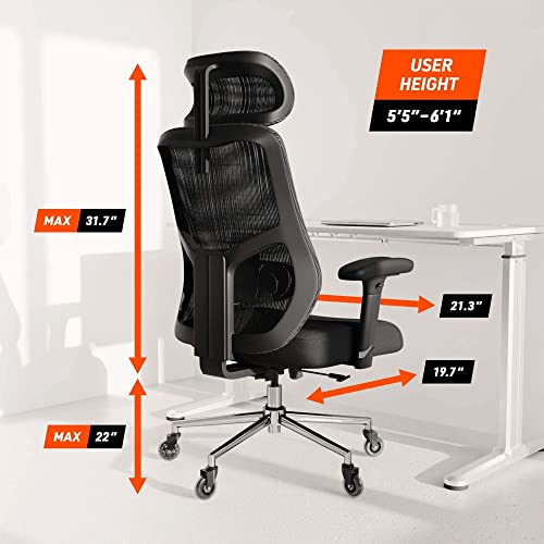 Truweo Ergonomic Executive Office Chair - Big And Tall With Inline Skate Caster Wheels – Heavy Duty Lumbar Support High Back With Premium Gas Lift #TOP4