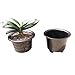 Flower Orchid Plant Mesh Net Pots Double Round Root Controlling Patent Technology,Excellent Drainage,Good Air Movement (Brown)