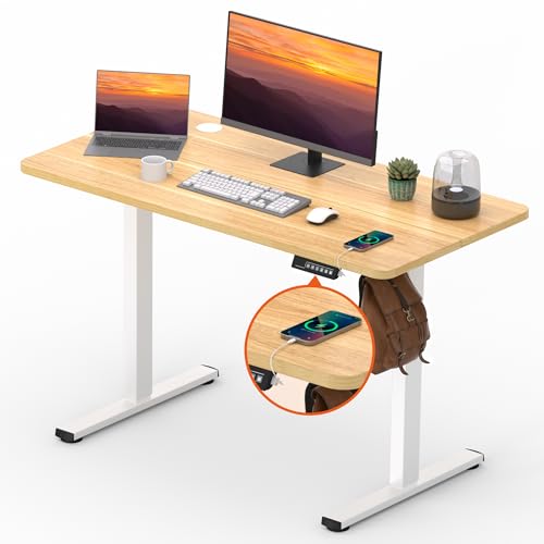 FitStand Adjustable Stand Up Desk with Memory Preset