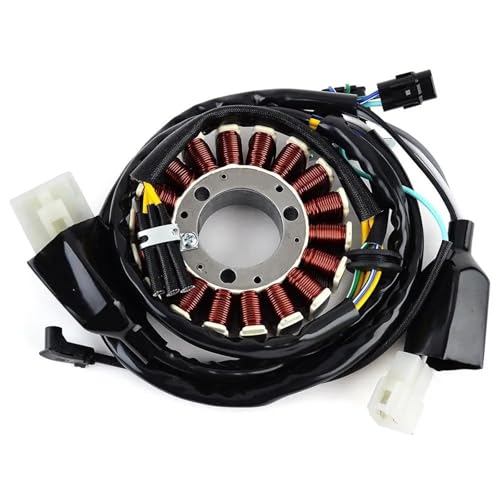 Bobine de stator 21003-0087 pour moto Kawasaki KLX250 et D-Tracker X