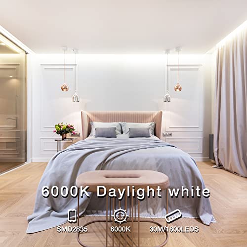 Image of DAYBETTER White LED Strip Light, 100 ft Dimmable Strip, 6500K 24V Lighting Strips, 1800 LEDs 2835 Tape Lights for Bedroom, Kitchen, Mirror, Home Decoration(2 Rolls of 50 ft)