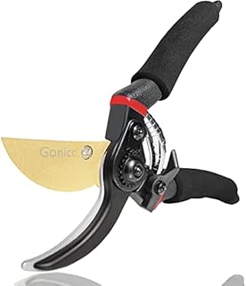 gonicc 8