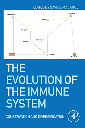 The Evolution of the Immune System: Conservation and Diversification (English Edition)