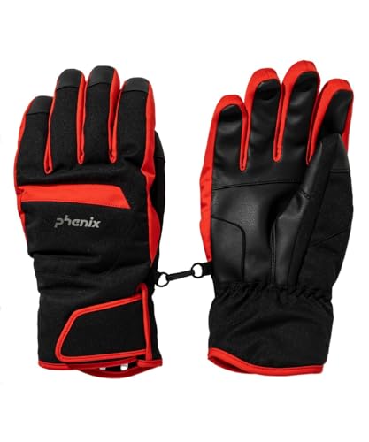 フェニックス PHENIX スキーグローブ メンズ Bicolor Gloves ESM25GL13