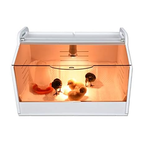 Chick Brooder Brooding Box For Comfortable Chick Transport