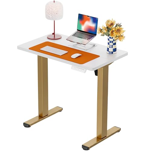 Image of ErGear Height Adjustable Electric Standing Desk, 32 x 19 Inches Sit Stand up Desk, Memory Computer Home Office Desk, White+Gold