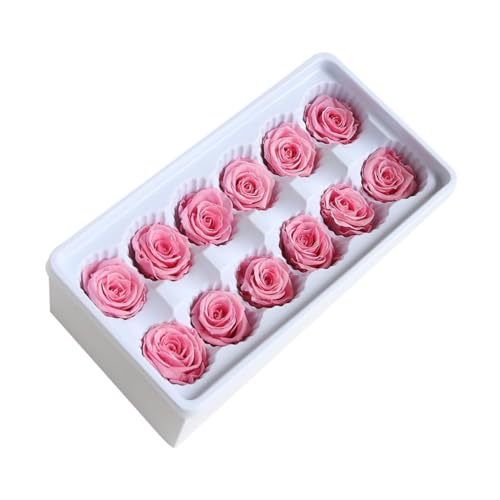 Healvian 12 Piezas de Rosas Inmortales Preservadas Color Rosa para Decoración de Bodas, Hechas de Plástico Decorativo y Duradero para Eventos Románticos en Casa
