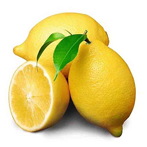 Preisvergleich Produktbild 20 Samen Zitronenfruchtsamen, süß-saure saftige Zitronenbaumsamen für den Gartenbalkon im Innen- und Außenbereich