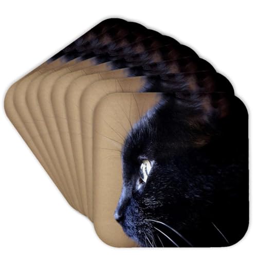 3dRose Extreme Closeup Of Black Cat set of 8 Coasters - Soft