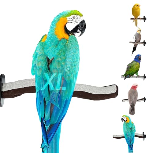 Image of Sweet Feet and Beak Manzanita Bird Perch, X-Large, Wooden Pedicure Perch | Cosmetic Grade Manzanita-Pumice Blend, Bird Cage Perch for Healthy Feet, Beak and Muscle, 14 inch Perch, Available in 5 Sizes