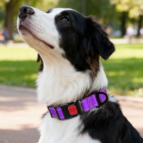 Image of Taglory Reflective Dog Collar with Safety Locking Buckle, Adjustable Nylon Pet Collars for Medium Dogs Female Male, Purple, M