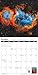 The Universe 2026 Astronomy Wall Calendar: Images from NASA's Hubble Space Telescope - Galaxies, Nebulae, more (12