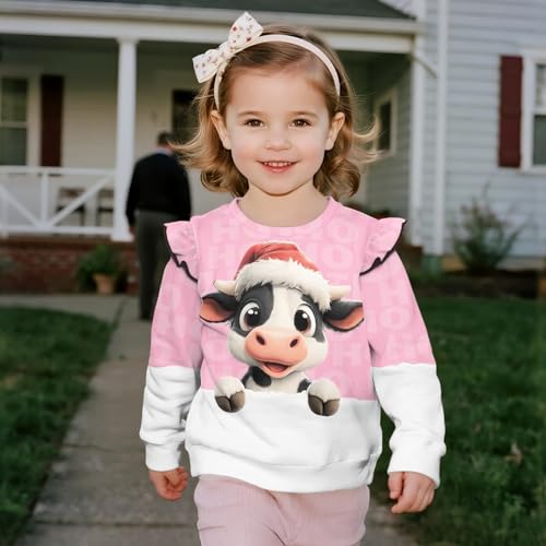 Toddler Sweatshirt Girls Long Sleeve Ruffle Pullover 1-8 Years Tops4