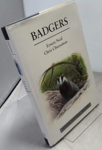 Badgers view 2