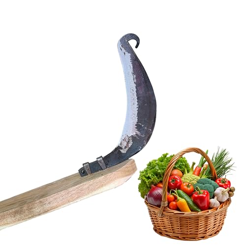 Traditional Folding Iron Blade Vegetable Fruit Cutter Vili Boti C...